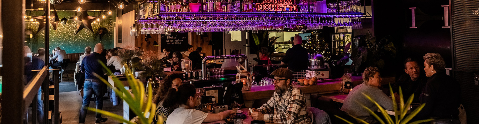 Dislaimer & copyright